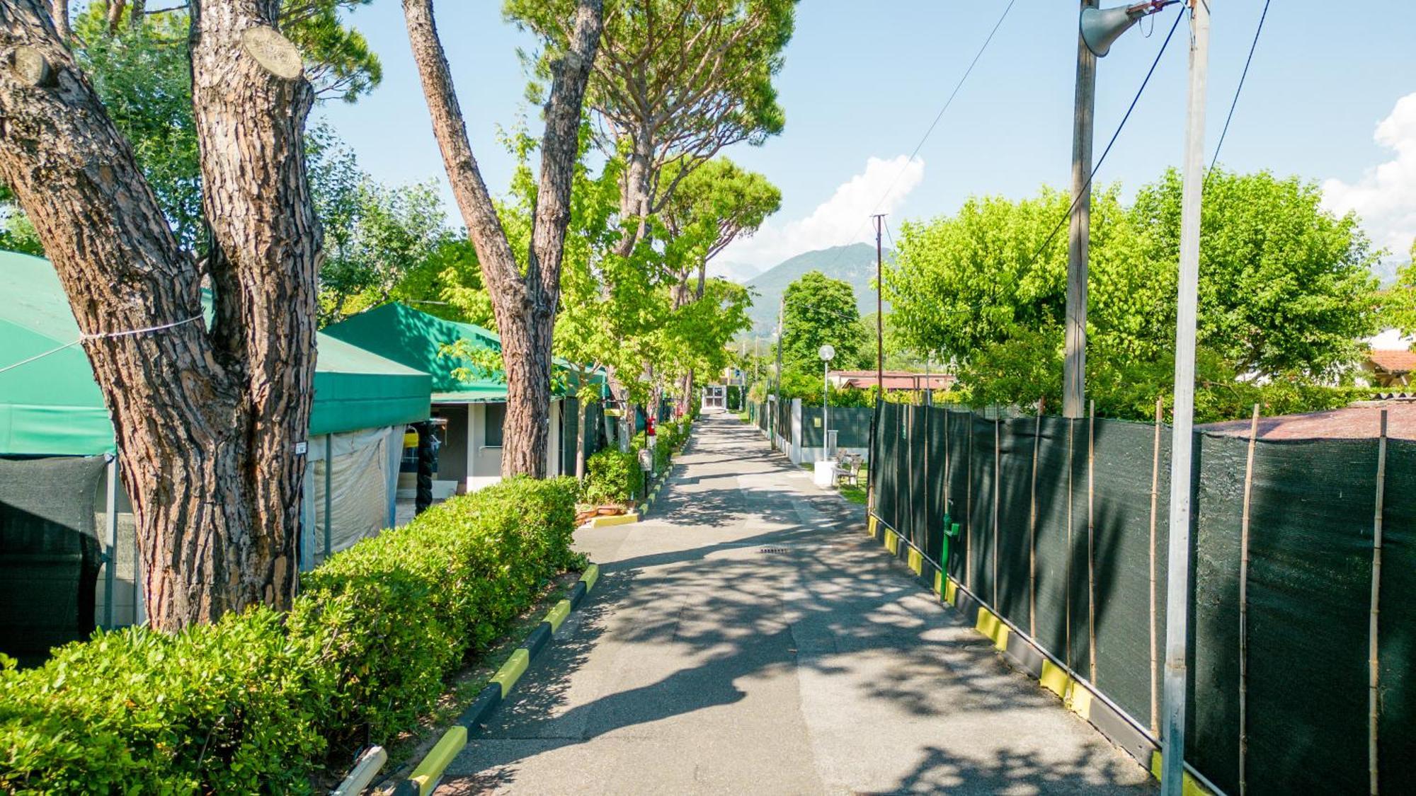 Camping Apuano Marina di Massa Exterior photo
